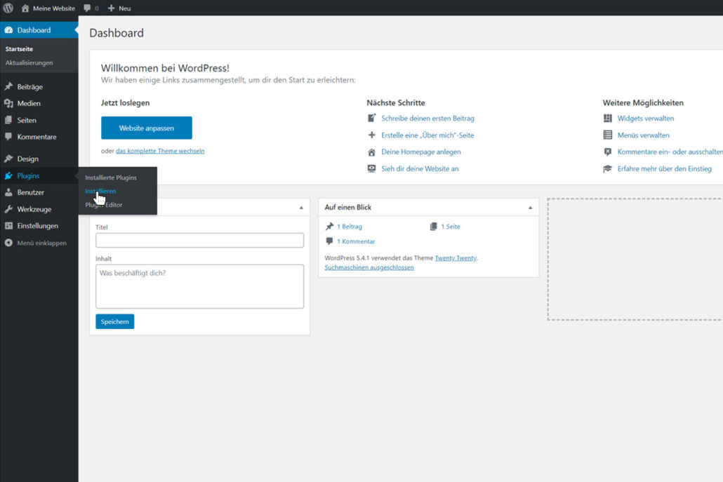 Gehen Sie unter Plugins zum Punkt "installieren"