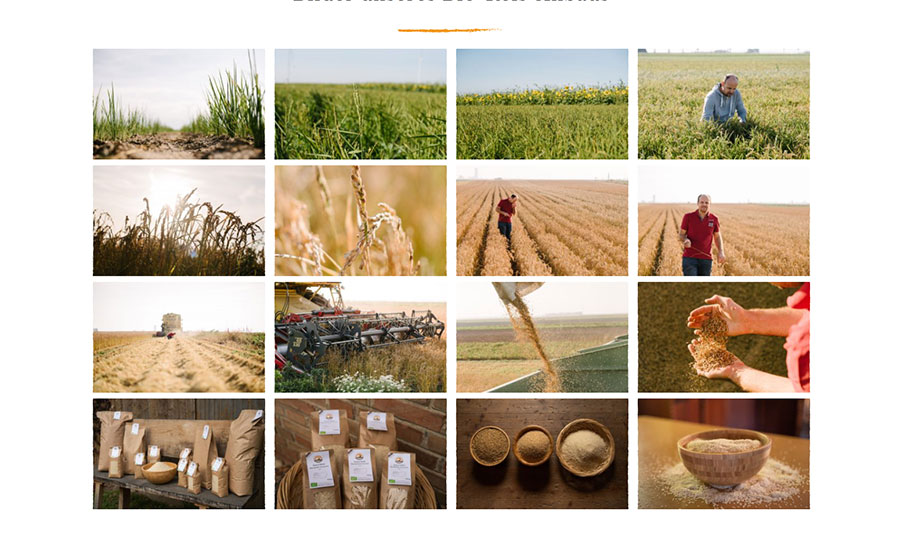 Auf die Bildgalerie der Website sind wir besonders stolz